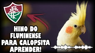Download lagu ASSOBIO CALOPSITA - HINO DO FLUMINENSE! (PARA ENSINAR CALOPSITA) mp3 Download lagu ASSOBIO CALOPSITA - HINO DO FLUMINENSE! (PARA ENSINAR CALOPSITA) mp3