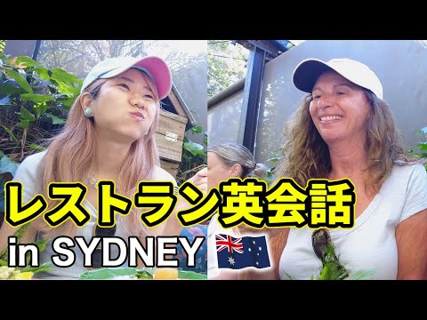 【Vlog英会話】アンジーがシドニーのレストランでリアル英語レッスン #studyinvlog