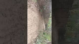  Commercial Land for Sale in Thalassery, Kannur