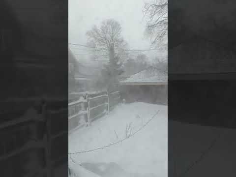 Friday 12/24/22: Day 2 of Christmas Blizzard of 2022. Vid #1.
