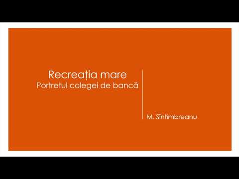 Recreatia mare - Portretul colegei de banca