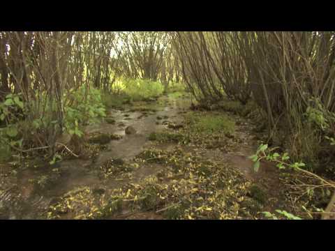 農業環境センター (Agriculture and Environment Center)