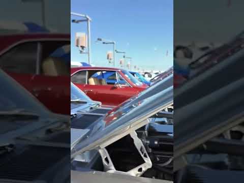 Gt 500 at Triple Crown of Rodding 2024 thumbnail