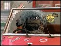Classic Sesame Street Would Nt It Be Yucky