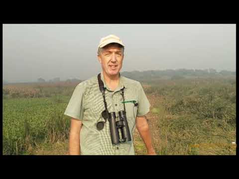 India Birding Tours