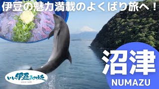 Attach YouTube