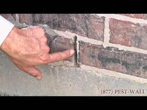 How Do Spiders Get In Your Home