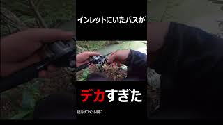 インレットにいたバスがデカすぎた（動画のURLコメント欄に）#shorts