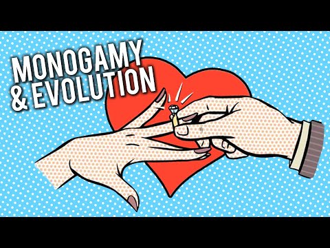 Are Humans Naturally Monogamous?