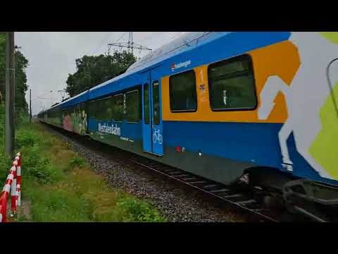 WestfalenBahn WFB RE15 von Münster (Westf) Hbf nach Emden Hbf #train #trainspotting #railway