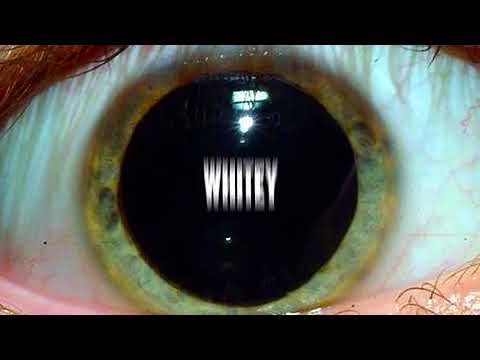 WHITEY - BRIEF AND BRIGHT (OFFICIAL AUDIO)