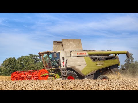 Harvest 2022 ~ CLAAS Lexion 5400 ! Doyle Produce