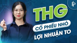 THG: “Trùm” xây dựng Tiền Giang – Cơ hội từ Đầu tư công và Bất động sản?