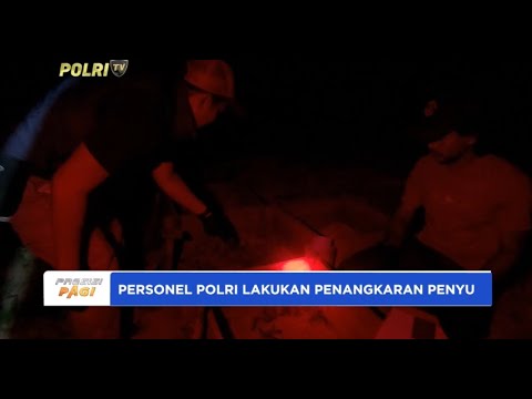 PERSONEL POLRI LAKUKAN PENANGKARAN PENYU