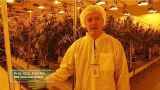 Next Big Crop Testimonials - gLeaf Medical Cannabis