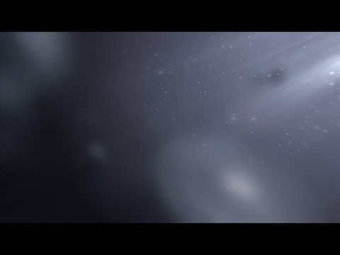 LG Air Conditioner : DUALCOOL USP – Energy Saving