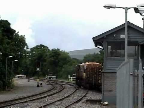 Chasing the Sligo timber