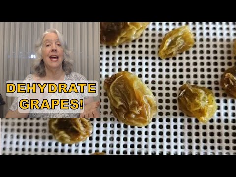 Part of a video titled How to Dehydrate Grapes | DIY Raisins You Can Make at Home