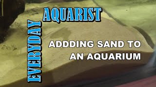 2 Tips for Cleaning and Adding Sand to an Aquarium