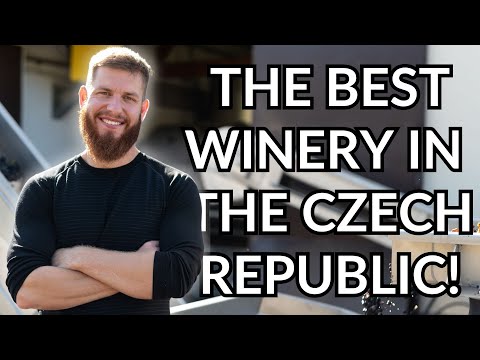 Meet the THAYA WINERY, Where It’s Always Better in the Czech Republic