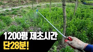 1200평 나무농장 제초 걸리시간 단 28분 | 나무대장