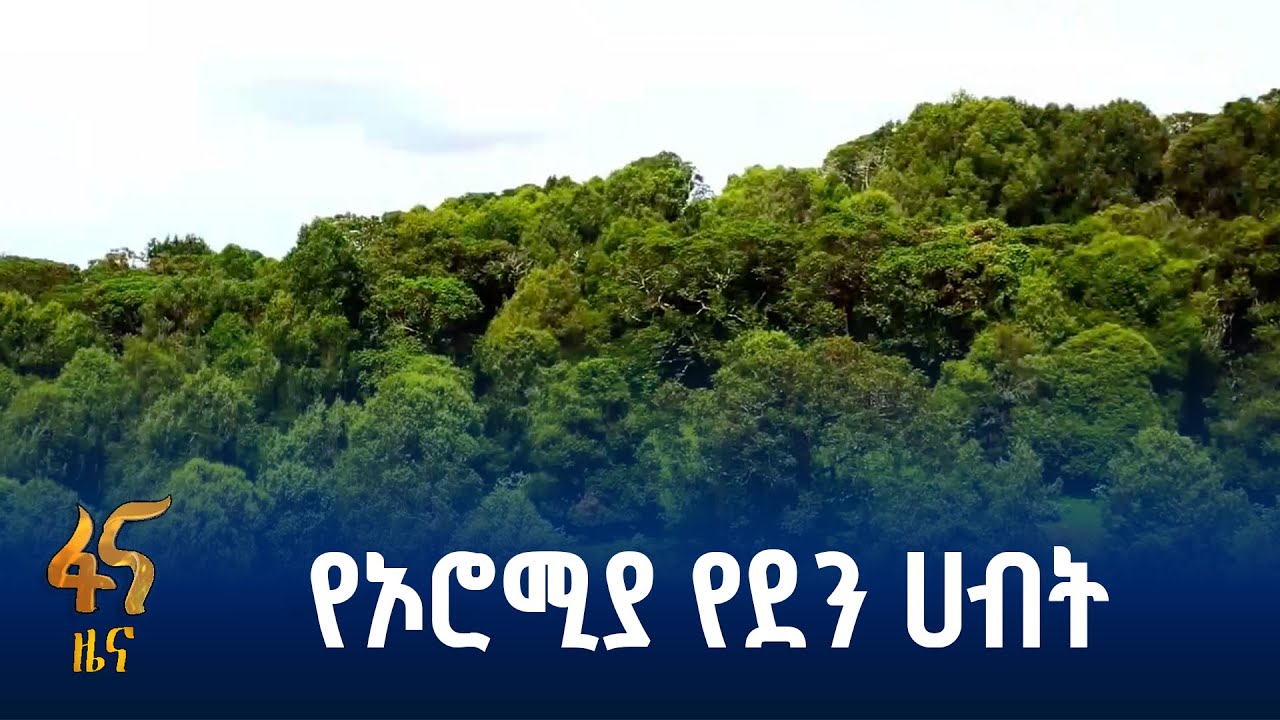ህብረተሰቡ ከደኑ እንዲጠቀም ምን ተሰራ