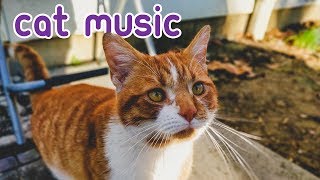 🔴INSTANT SLEEP MUSIC - 15 HOURS of Soothing Feline Melodies.
