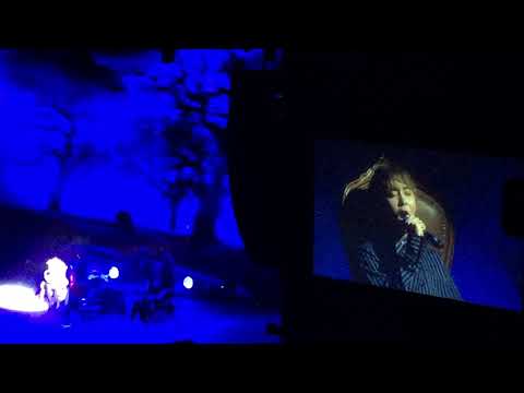 170818 - SEVENTEEN (Don't Listen In Secret) DIAMOND EDGE IN CHICAGO