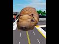 Como Colocar A Capivara Gigante No Brookhaven Roblox Shortsviral Brookhaven Capivara
