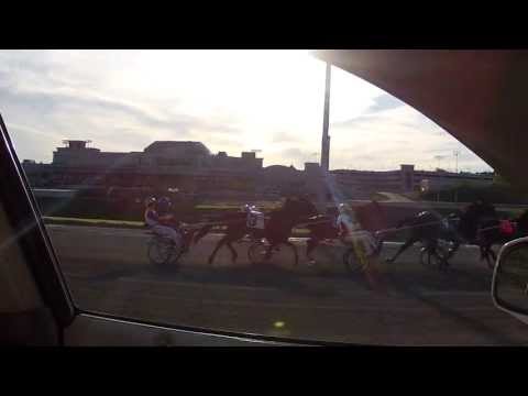 The Meadows Racetrack Celebrity Harness Race