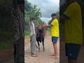 Jallikattu Jallikattu Kaalai Bull Trending Shortsfeed Trendingshorts Trendingsong
