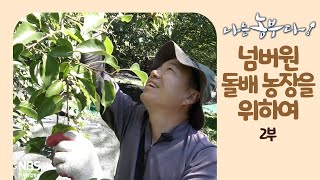 [나는농부다 218회 2부] 넘버원 돌배 농장을 위하여