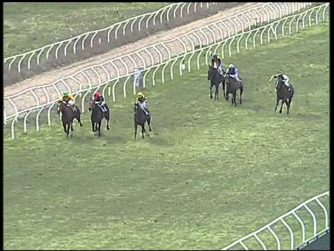 Galoppo 24/02/2015 - 4° corsa