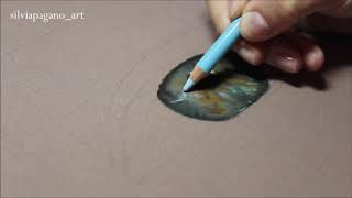 Hyperrealistic Drawing – pastels – Silvia Pagano Art