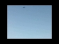 BIGGEST BOTTLE FLIP EVER