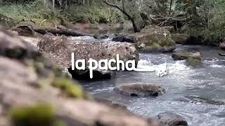 Lapacha Agroturismo