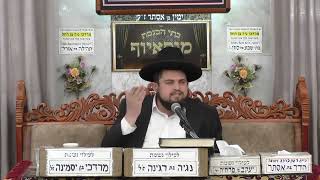 הרב דוד חביב כהן | מעניין פרשת השבוע | בית הכנסת מוסאיוף (בית הכנסת מוסאיוף) - התמונה מוצגת ישירות מתוך אתר האינטרנט יוטיוב. זכויות היוצרים בתמונה שייכות ליוצרה. קישור קרדיט למקור התוכן נמצא בתוך דף הסרטון