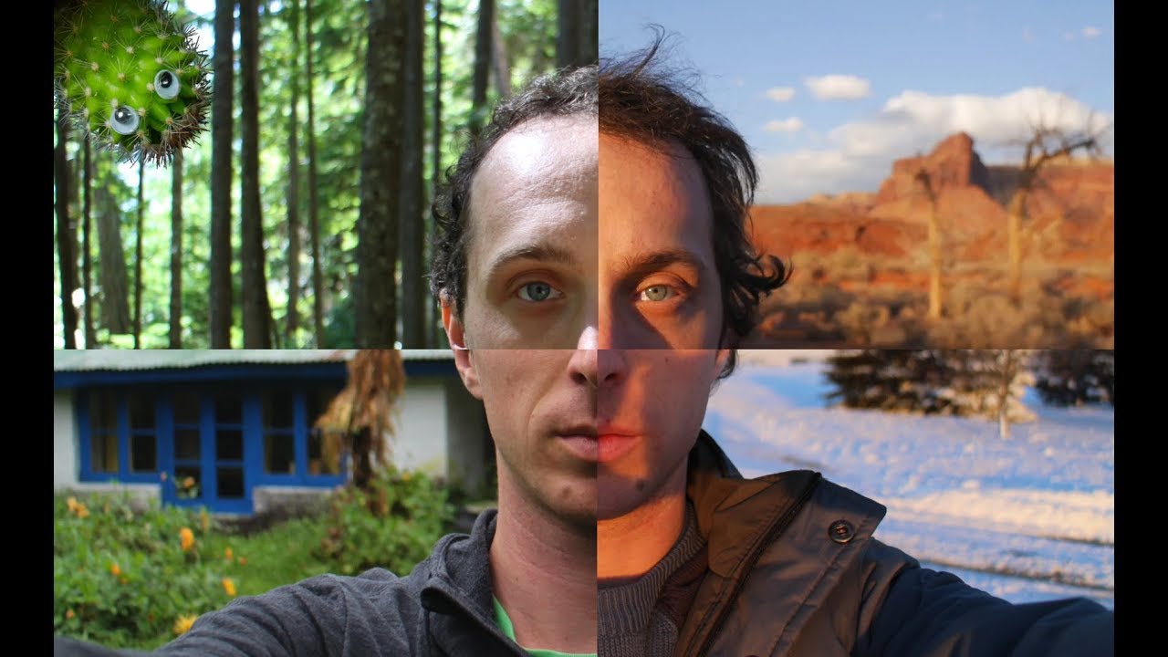 How Tracking My Life Changed Everything