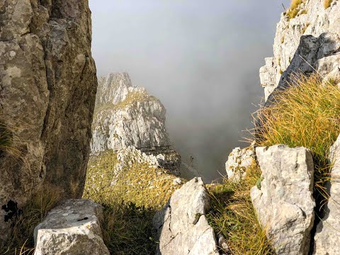 Lola - Moracke Planine