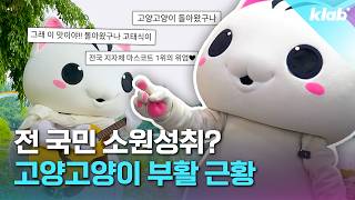 누가 돌아왔~게? 4년 만에 부활한 고양고양이 만나봄｜크랩
