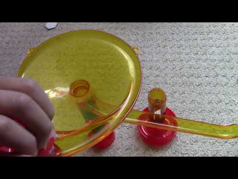 Asia Target Shooting Race - Marble Continent Tournament 2024