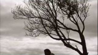 Transistor Radio - Cloud Cult