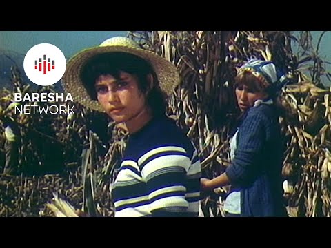 Dritat e Qytezes 1983 "The town Lights" (Film Shqiptar/Albanian Movie)