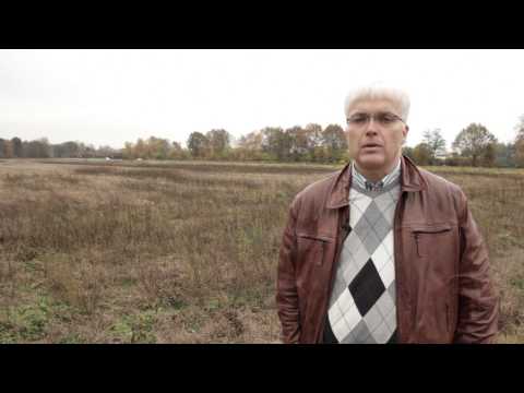 Projektfilm Scherbrings Bio-Garnelen-Zucht