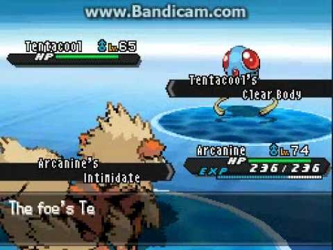 Guida Pokemon Nero 2 - Parte 111 - Il Percorso 17