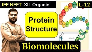 (L-12) Proteins Structures || Biomolecules || JEE NEET || By Arvind Arora
