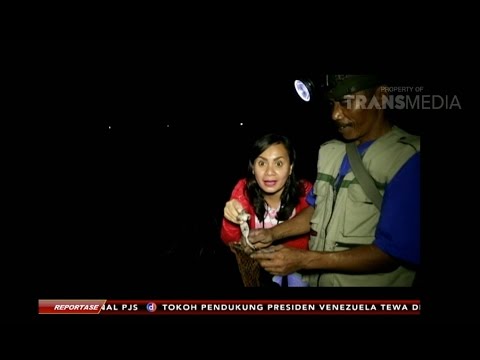 REPORTASE PAGI - Pak Ajid Pencari Cicak Dan Kodok Untuk Menyambung Hidup