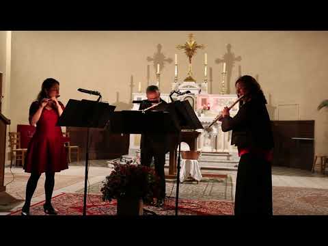 Herman Beeftink : Birds pour Piccolo, Flûte et Flûte Alto (Part II : Flight)