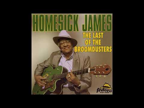 Homesick James - Rockin' and Rollin'