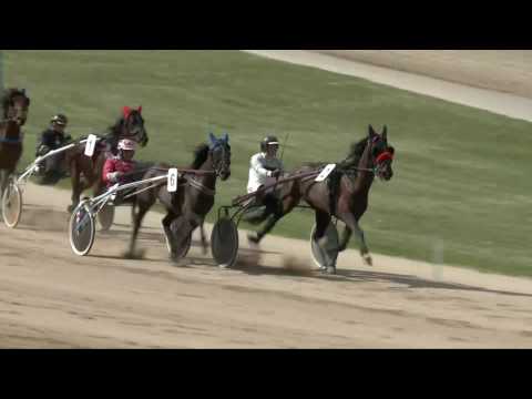 2017.04.08. 2. futam - BÁJITAL DÍJ